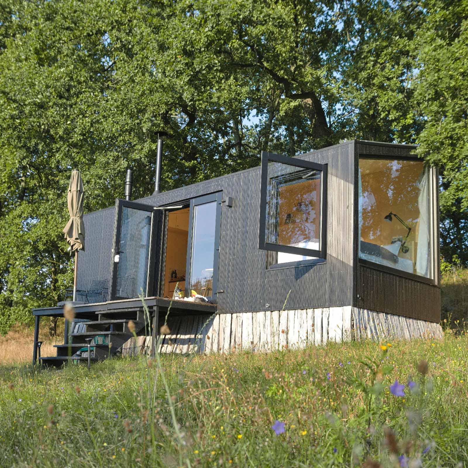 Tiny boxy home surrounded by wildflowers with trees behind it
